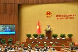 Hộ kinh doanh hoạt động theo mô hình doanh nghiệp sẽ có nhiều ưu đãi, thuận lợi hơn