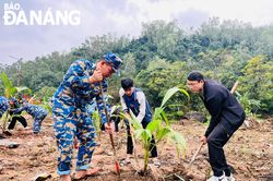 Đà Nẵng tăng cường giải pháp phát triển cây xanh đô thị