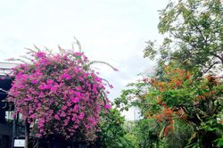 Thức dậy cùng thành phố