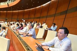 'Mảnh ghép' đặc biệt ở kỳ họp có ý nghĩa lịch sử…