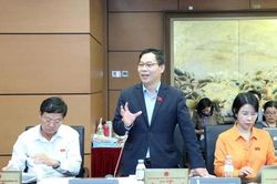 Đại biểu Quốc hội kiến nghị hạn chế áp dụng, thi hành hình phạt tử hình