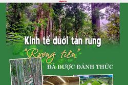 Hiệu quả từ phát triển báo chí đa phương tiện trong nhiệm vụ tuyên truyền chuyển đổi xanh