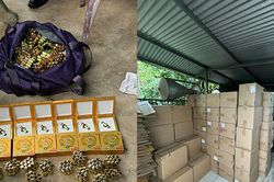 Phá đường dây đa cấp có 7.000 người Việt Nam tham gia, số tiền giao dịch hàng nghìn tỷ đồng