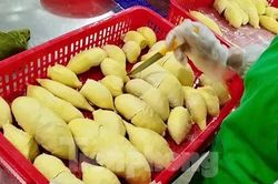 'Báo động đỏ' sầu riêng Việt Nam