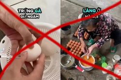 Bác bỏ thông tin trứng gà giả