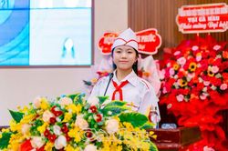 Toả sáng những bông hoa Kim Ðồng
