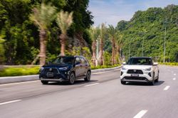 Yaris Cross lọt vào tầm ngắm của nhiều khách hàng tham dự sự kiện Toyota Cross
