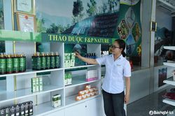 Doanh nghiệp thu mua bưởi non của nông dân Nghĩa Đàn