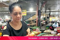 Cao điểm đẩy lùi tội phạm buôn lậu, gian lận thương mại, hàng giả