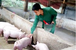 Chàng trai người Tày học Bác khởi nghiệp thành công