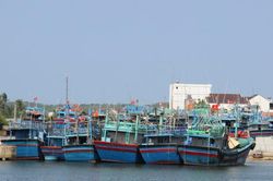 Bình Định xử phạt hai tàu cá vi phạm quy định khai thác thủy sản