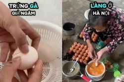 Làm rõ, xử lý nghiêm người tung tin đồn về trứng giả