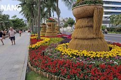 Chung tay làm đẹp đường hoa biển