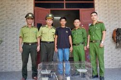 Người dân giao nộp tê tê Java, rùa núi vàng, trăn gấm quý hiếm