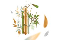 Giá trị văn hóa truyền thống xứ Quảng