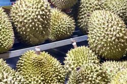 Giải pháp nào để ngành hàng sầu riêng phát triển bền vững ?