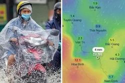 Miền Bắc sắp đón đợt gió Đông Bắc nữa, dự báo Hà Nội lại mưa dông