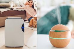 Có nên dùng máy tạo độ ẩm và máy lọc không khí trong cùng một phòng?