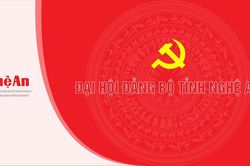 Số lượng cấp ủy viên, ủy viên ban thường vụ, phó bí thư cấp ủy các cấp nhiệm kỳ 2025-2030 được quy định thế nào?Độ tuổi cấp ủy viên nhiệm kỳ 2025-2030 được quy định thế nào?Tiêu chuẩn cấp ủy viên các cấp nhiệm kỳ 2025-2030 được quy định thế nào?Các cấp ủy
