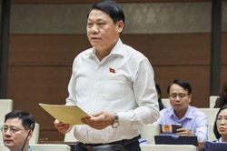 Đại biểu băn khoăn về tỷ lệ chia tiền thuê đất, thuế VAT giữa Trung ương và địa phương