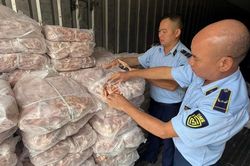 Thu giữ hơn 1,5 tấn chân gà đông lạnh tại Lào Cai