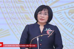 Đã có hơn 17,1 triệu người dân tham gia góp ý sửa đổi Hiến pháp trên VneID