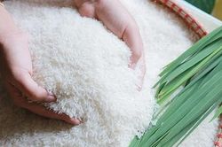 Giá lúa gạo hôm nay 27/5/2025: Giá gạo ổn định, lúa biến động, xuất khẩu dậy sóng vì Ấn Độ