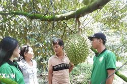 Tây Ninh 'sẵn sàng vượt rào cản kỹ thuật' xuất khẩu sầu riêng sang Trung Quốc