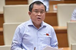 Đại biểu Quốc hội đề xuất tăng mức phạt với tội sản xuất, buôn bán hàng giả, vi phạm an toàn thực phẩm