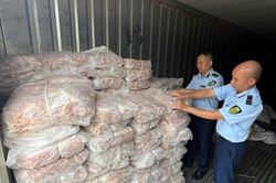 Lào Cai thu giữ hơn 1,5 tấn chân gà không rõ nguồn gốc