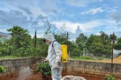Gia Lai triển khai các biện pháp phòng-chống bệnh dịch tả heo châu Phi