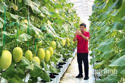 Nông dân Ninh Bình bắt nhịp chuyển đổi số