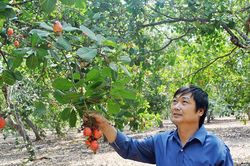 Bình Minh: Từ điểm nghẽn giảm nghèo đến những tia hy vọng