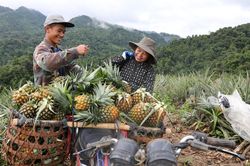 HTX vùng đồng bào dân tộc thiểu số ở Điện Biên trên con đường số hóa
