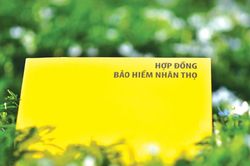 Hiệp hội Bảo hiểm cảnh báo: Thông tin giả mạo đang làm lung lay niềm tin thị trường