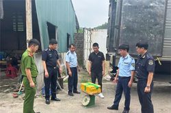 Tạm giữ 25 tấn thực phẩm đông lạnh không rõ nguồn gốc đã bốc mùi