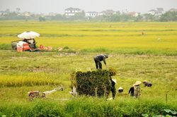 Thời tiết Nghệ An ngày 28/5: Chiều tối và đêm có mưa rào và dông rải rác