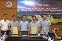 Công bố nhãn hiệu chứng nhận 'Thanh long Bảo Yên' và 'Chuối ngự Hồng Cam'