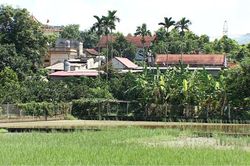 Xây dựng nông thôn mới thực chất, hiệu quả