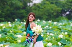 Chiêm ngưỡng đầm sen trắng tinh khôi ở ngoại thành Hà Nội