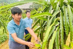 Học và làm theo Bác - động lực thúc đẩy các phong trào thi đua