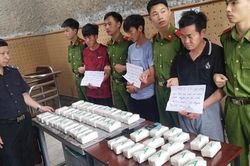 5 tháng, ngành Hải quan thu giữ khoảng 1,9 tấn ma túy