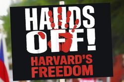 Harvard thắng vòng đầu trong cuộc chiến pháp lý bảo vệ sinh viên quốc tế