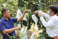 Chắp cánh cho nông sản vươn xa
