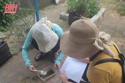 Chủ động phòng, chống dịch sốt xuất huyết