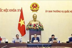 Ủy ban Thường vụ Quốc hội bàn thảo nhiều luật lớn, thúc đẩy cải cách thể chế