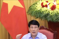 Chủ tịch nước chỉ đạo hoàn thiện công tác Đảng, đảm bảo tiến độ triển khai nhiệm vụ đối nội, đối ngoại