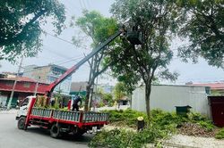 Chủ động ứng phó - giảm thiểu thiệt hại
