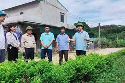 Quảng Ninh sẽ vận hành thử nghiệm chính quyền địa phương 2 cấp từ ngày 15/6