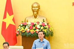 Tán thành quy định về Tòa án chuyên biệt thuộc Trung tâm Tài chính quốc tế